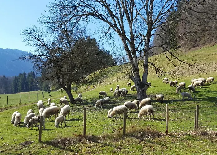 Bleierhof Daire *